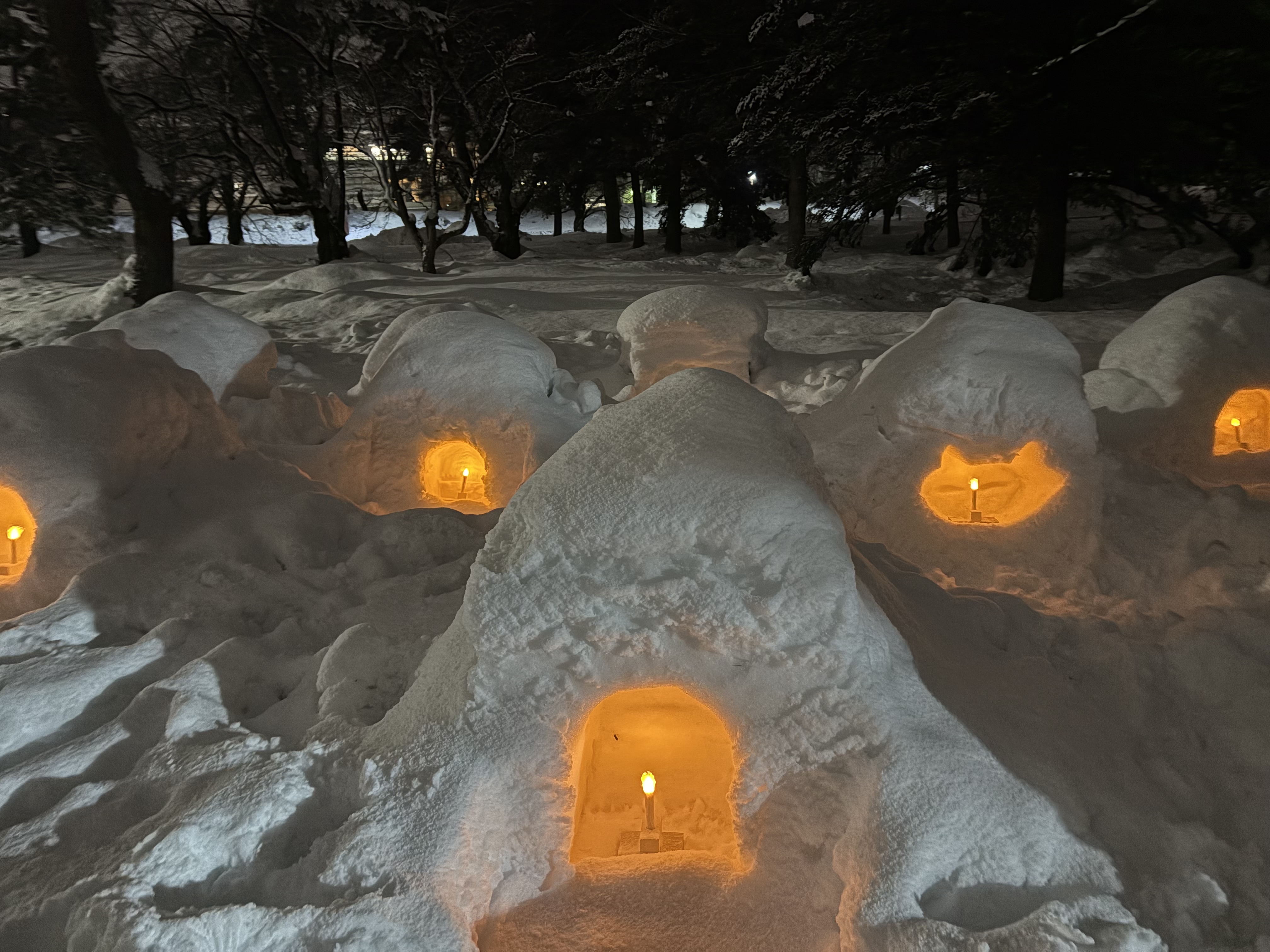 2026年弘前城雪燈籠まつり】見所について紹介！ | 青森県弘前市観光